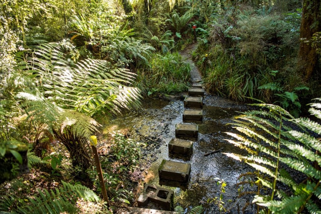 Koropuku Falls track