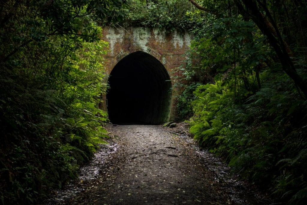 Tunnel at Tunnel hill, Catlins