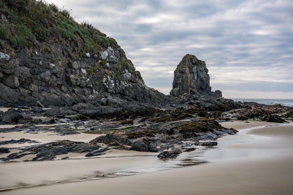 Cannibal bay Catlins