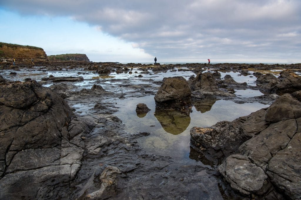 Curio bay ,Catlins.