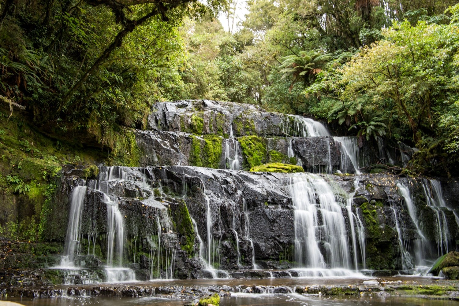 The beautiful Catlins