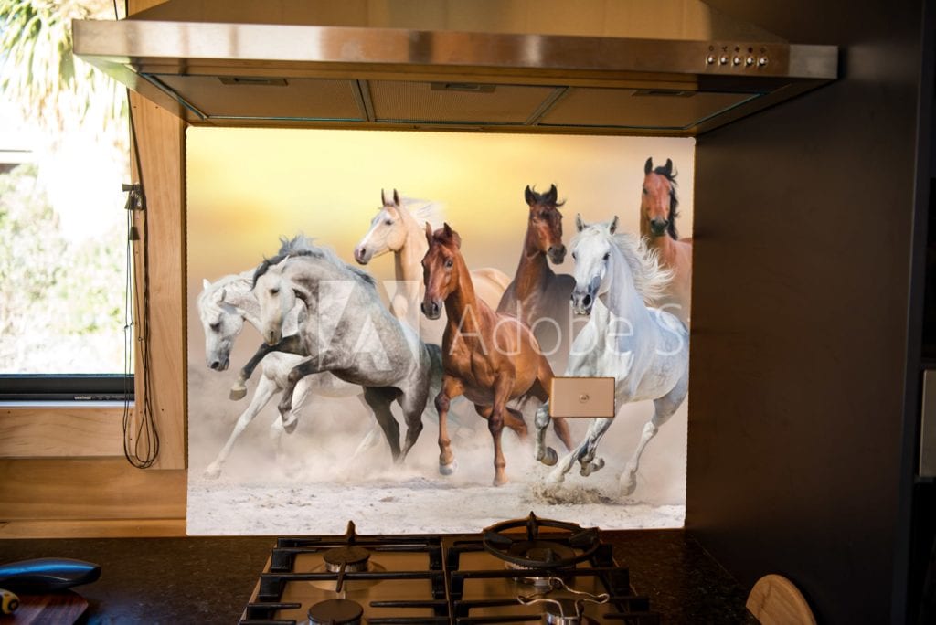 running horses splashback option