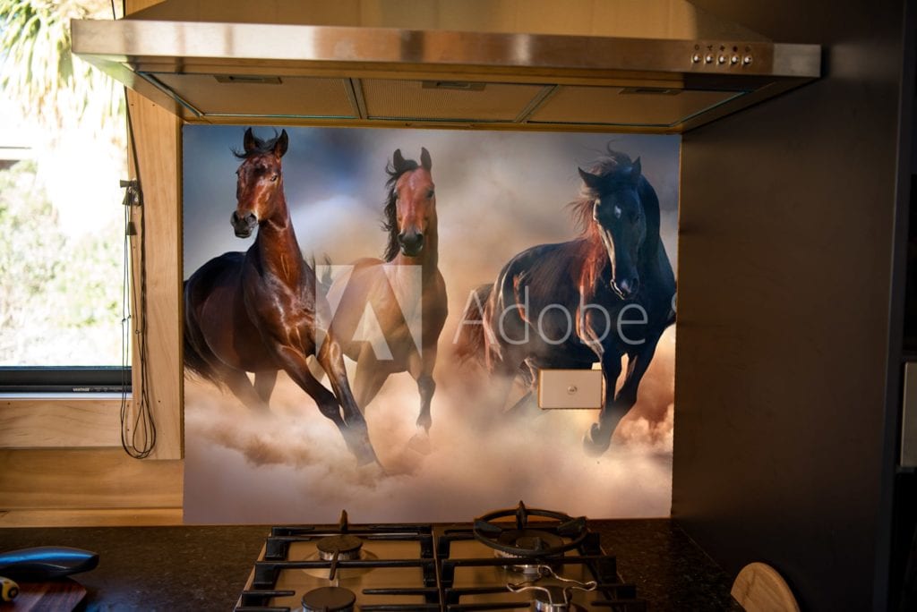 Horses splashback option 1