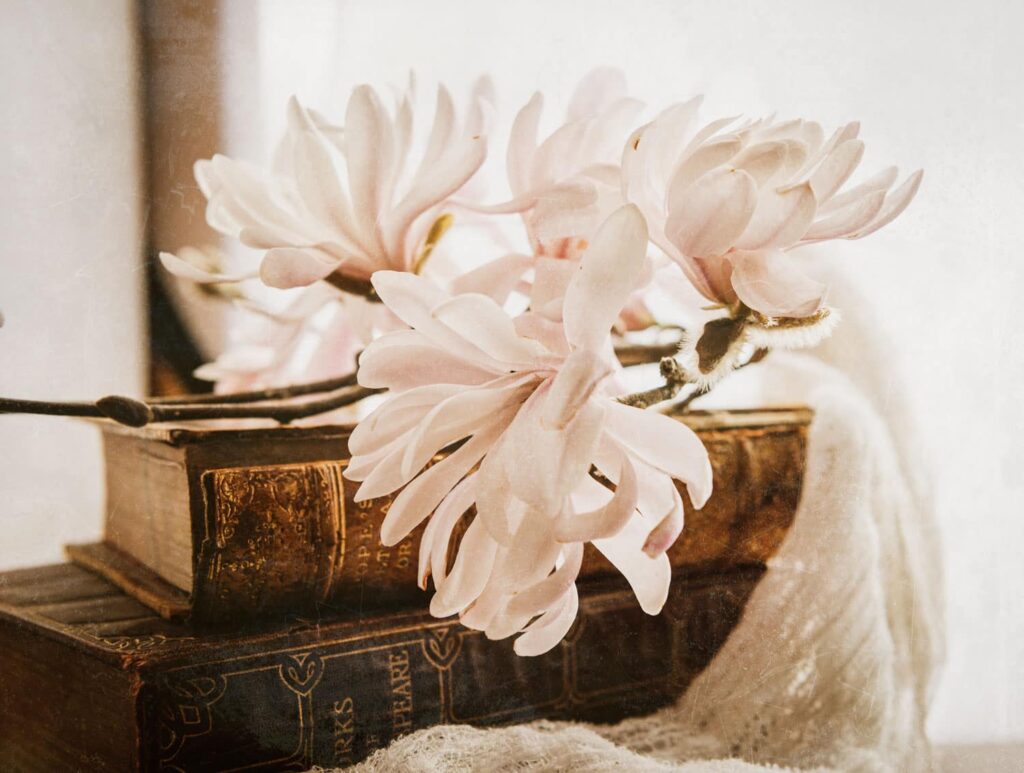 Magnolias and books art work