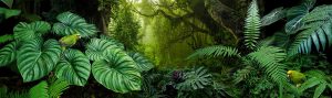 Website design with a tropical forest scene