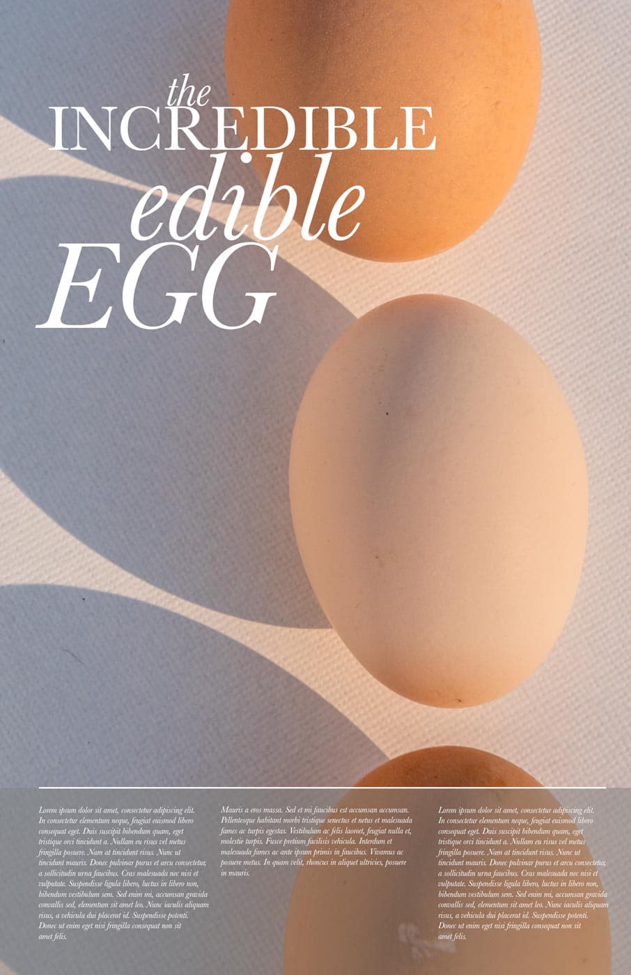 The Incredible Edible Egg design concept