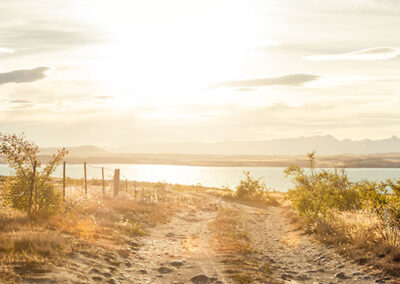 Lake Tekapo