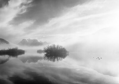 glenorchy lagoon in the mist