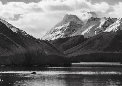 Black and White image of the Glenorchy lagoon
